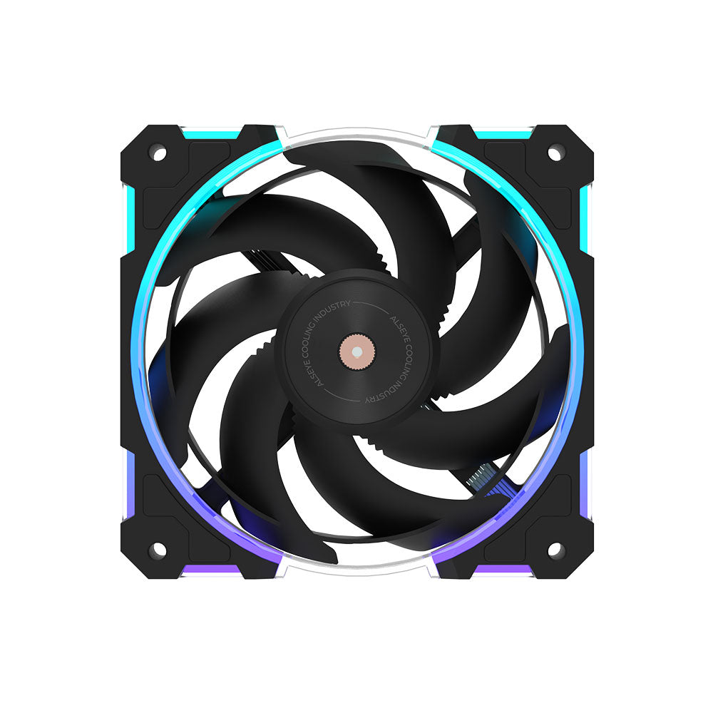 W12plus